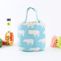 Thermal Insulated Lunch Bag Container