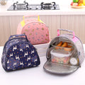 Insulated Food Lunch Picnic Bags Container