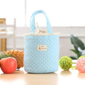 Thermal Insulated Lunch Box Cooler Bag Container