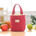 Thermal Insulated Lunch Box Cooler Bag Container