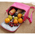 Cooler Insulated Storage Fresh keeping Bags