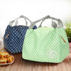 Thermal Insulated Cold Food Storage Bag