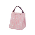 Waterproof Food Storage Bag Insulated Thermal