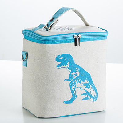 Men Cooler Box Insulated Storage Container Bags