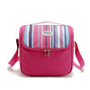 Cooler Insulated Storage Fresh keeping  Bags