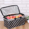 Folding Picnic Camping Insulated Storage